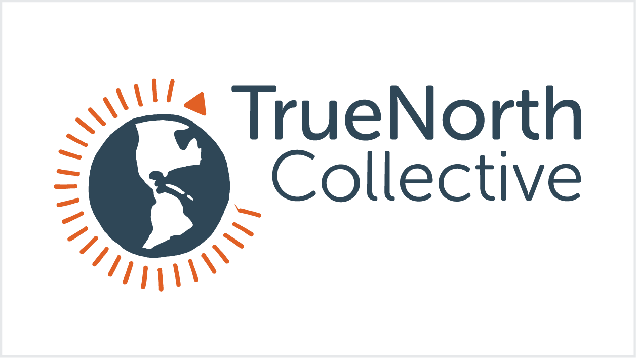 True North Collective logo