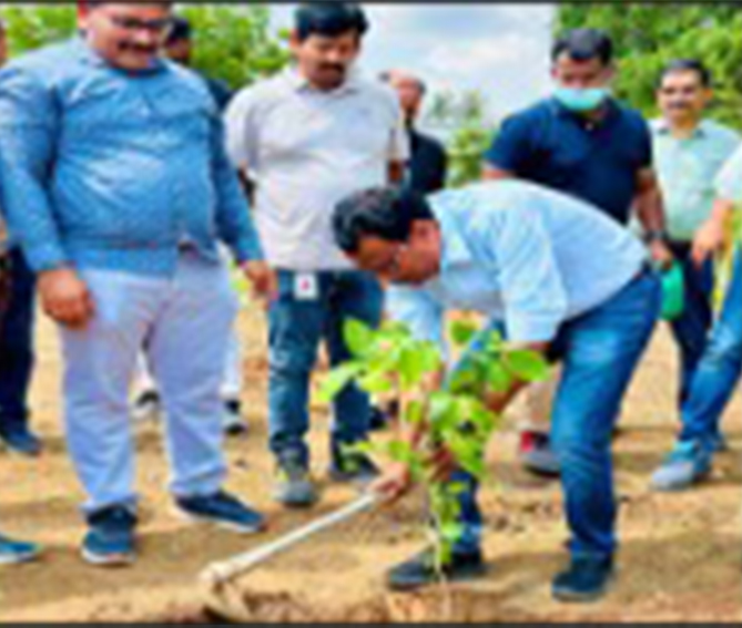 Group of people outdoors watching a man planting a young tree in the soil using a hoe.
