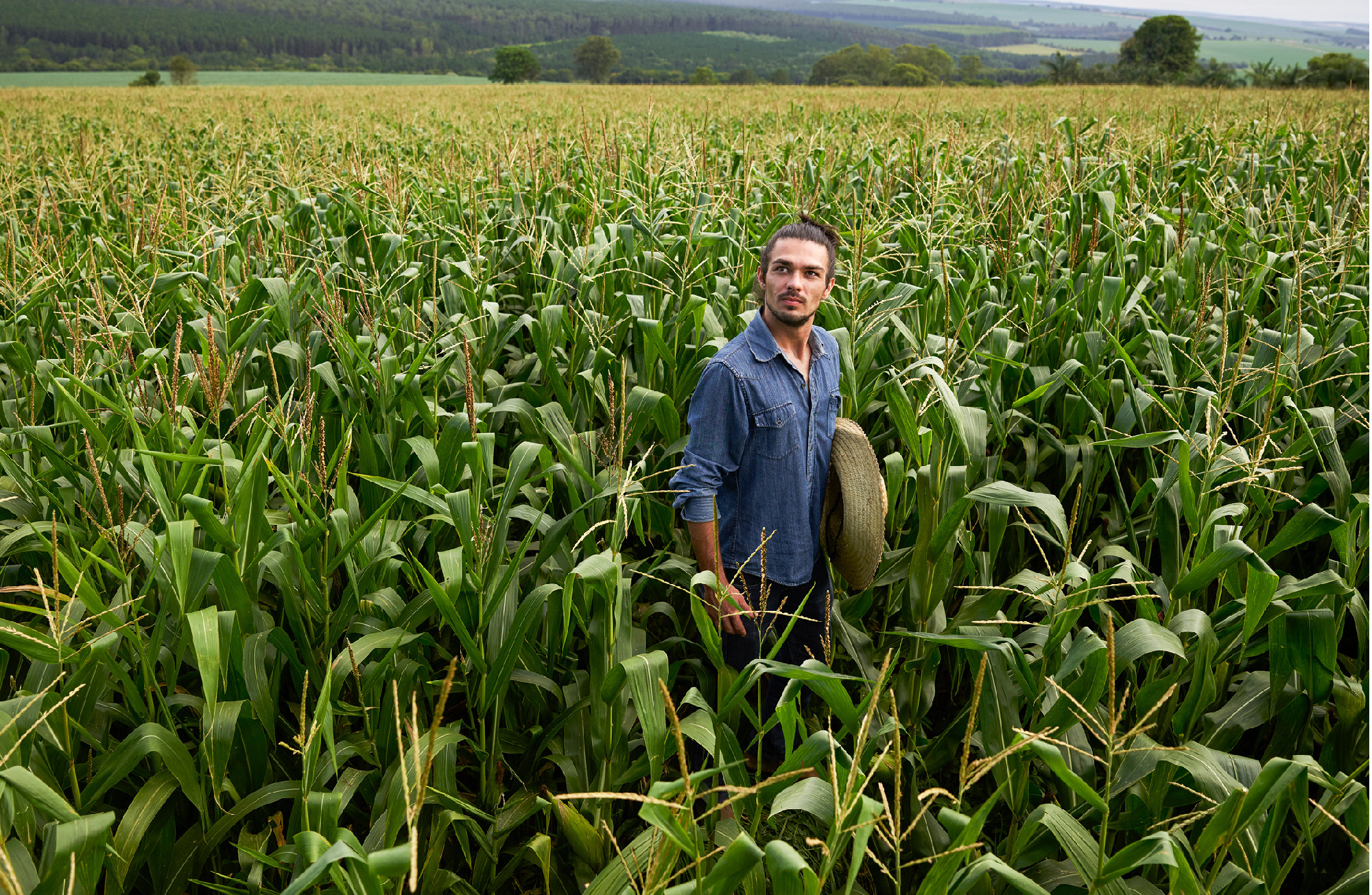 Farmer standing in the middle of a tall, green cornfield, holding a straw hat, with rolling hills and forests visible in the background.
