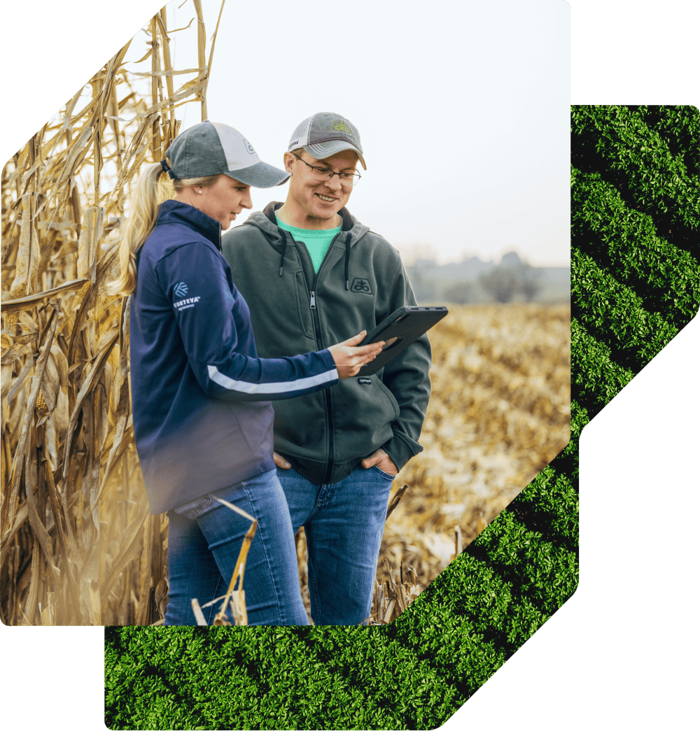 A woman in a navy Corteva jacket and a man in a green hoodie, both wearing baseball caps, stand in a field of dry corn while reviewing information on a tablet.
