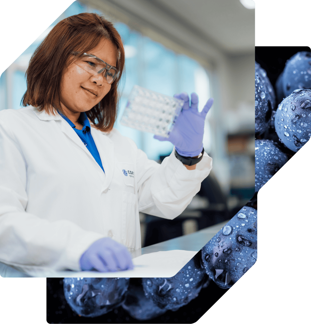 Scientist wearing safety glasses and gloves examining a multi-well sample plate in a laboratory.