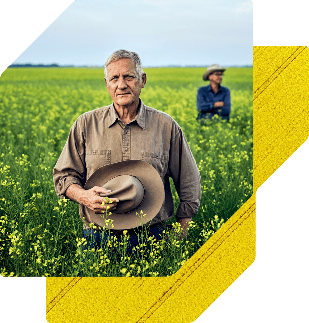 An older farmer in a brown shirt stands in a field of flowering canola crops, holding his hat against his chest. Another man in a hat is visible in the blurred background.