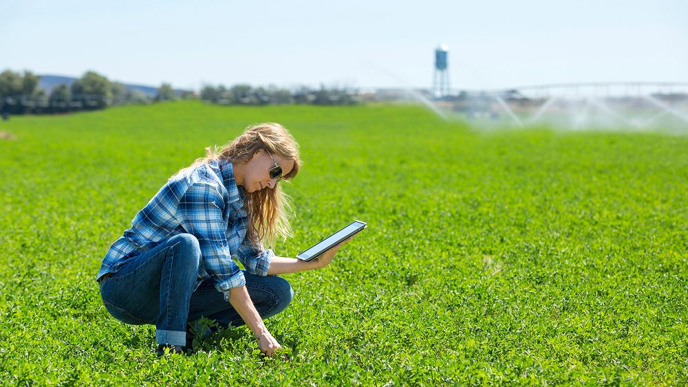 A woman in a blue plaid shirt and sunglasses crouches in a vibrant green field, using a tablet to inspect the crops.