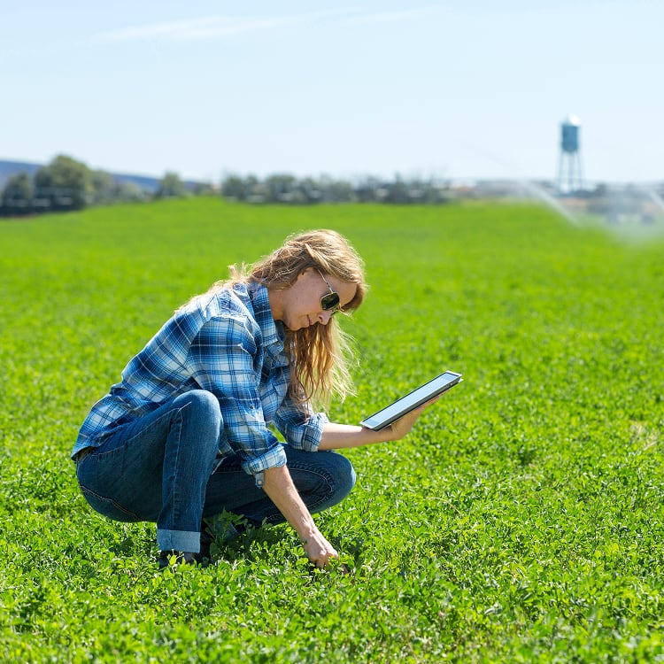 A woman in a blue plaid shirt and sunglasses crouches in a vibrant green field, using a tablet to inspect the crops.