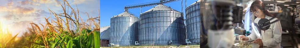 A three-part collage representing the agricultural industry: a close-up of golden crops at sunset, large silver grain silos under a blue sky, and a scientist working in a laboratory.