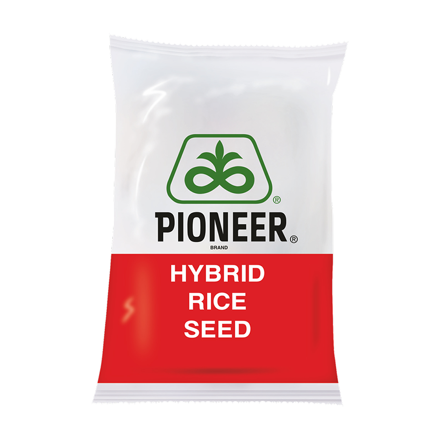 Photo showing a bag of Pioneer hybrid rice seed