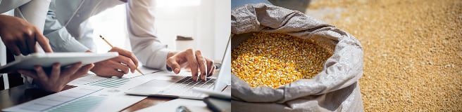 A two-panel image showing people working with a laptop and documents on the left, and a burlap sack filled with harvested corn kernels on the right.