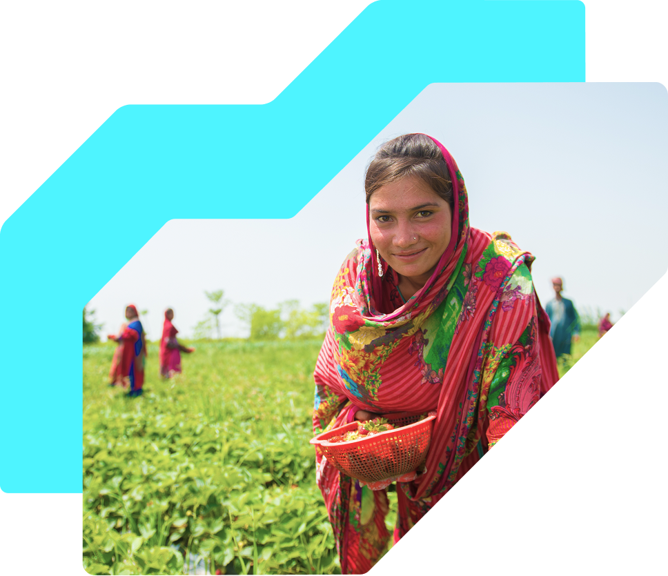 Smiling farmer in a colorful scarf holding a basket of freshly picked strawberries in a green field, with other workers in the background.